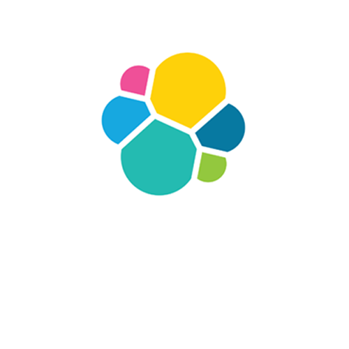 Elastic Search