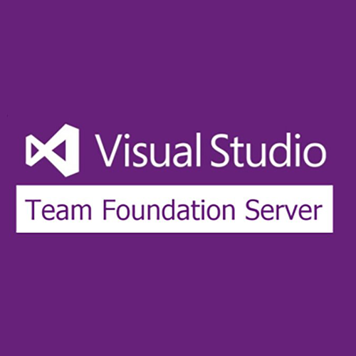 TFS Server